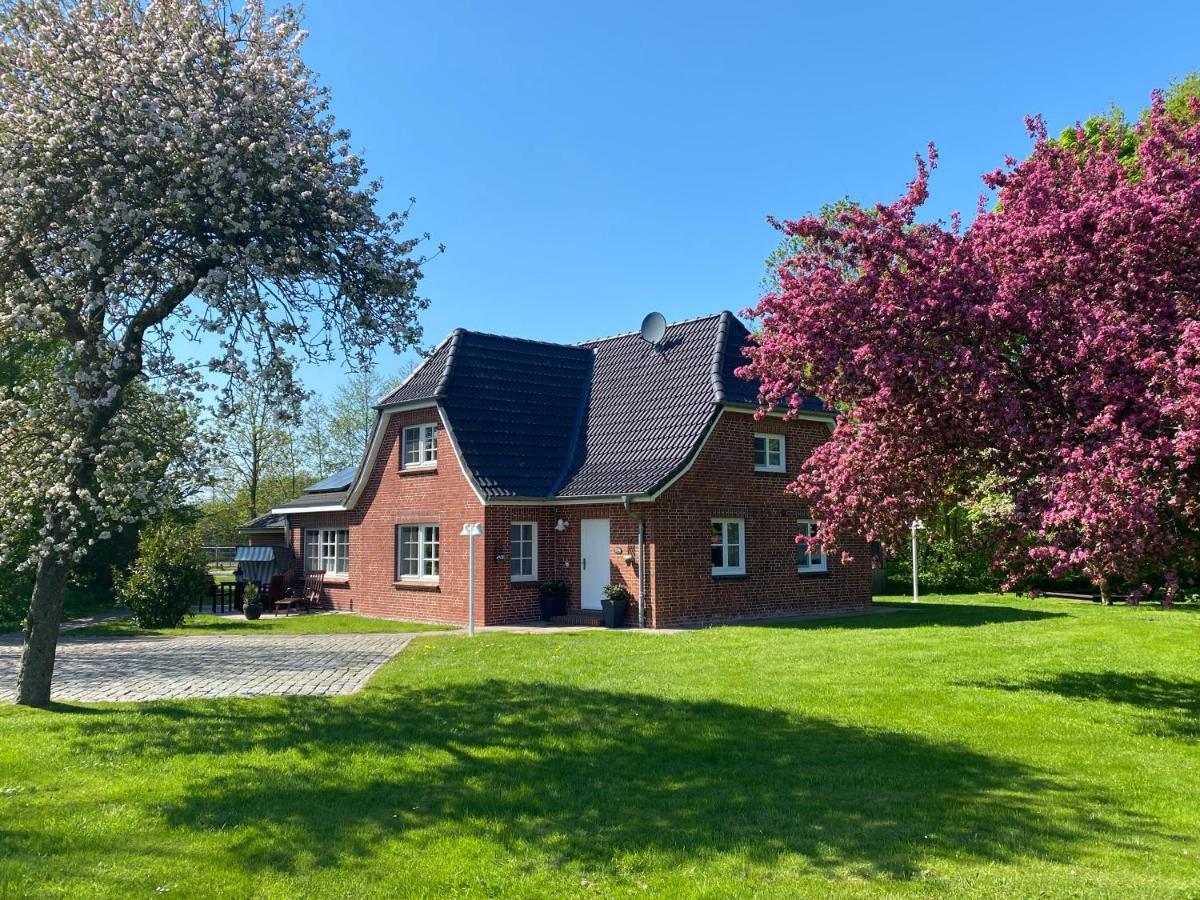 Ferienwohnung Eichenhof III Grothusenkoog Exterior foto